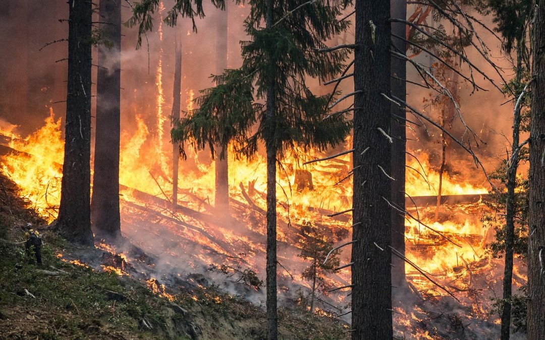 Wildfires, Hurricanes, Rising Emissions—Climate Change out of control