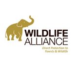 Wildlife Alliance