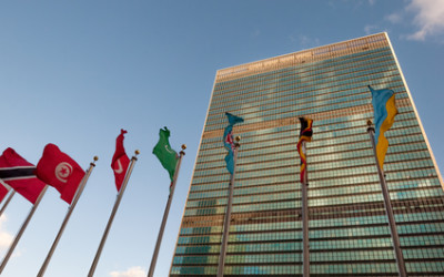 Networked Solutions for the UN Sustainable Development Goals