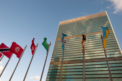 Networked Solutions for the UN Sustainable Development Goals