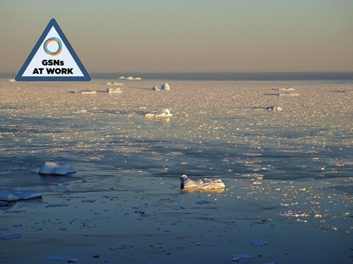 Photo of arctic sea ice with GSNs at Work icon.