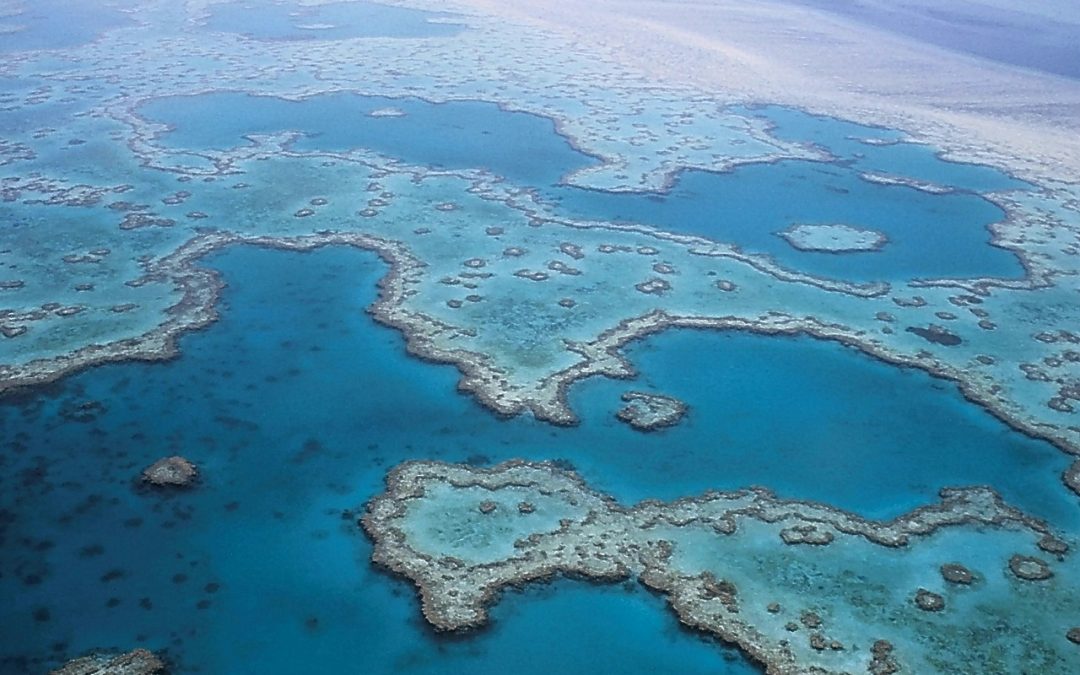 Aerial photo of Great Barrier Reef.