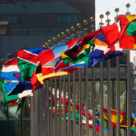 Rethinking the United Nations for the Networked World